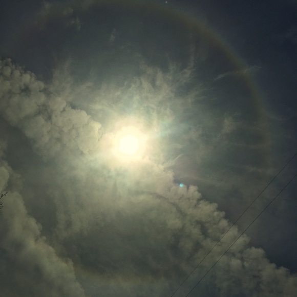 Meet your Posher, Whitney - Picture 8 of 13